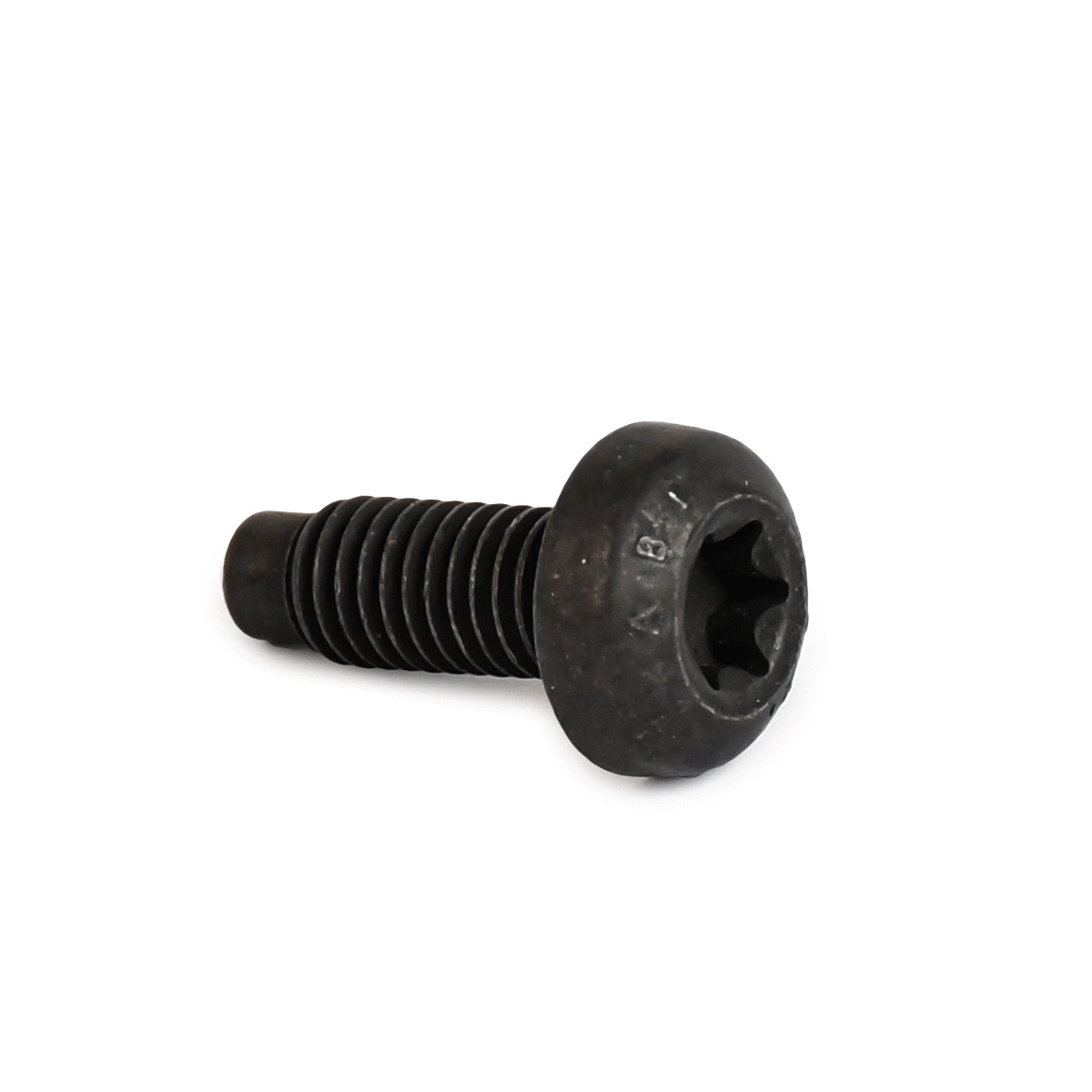 Screw, oil pump housing lid (BS0035)