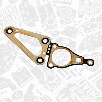 Gasket, timing case (TM0008)