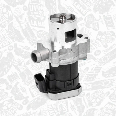 EGR Valve