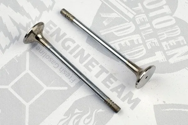 Exhaust Valve