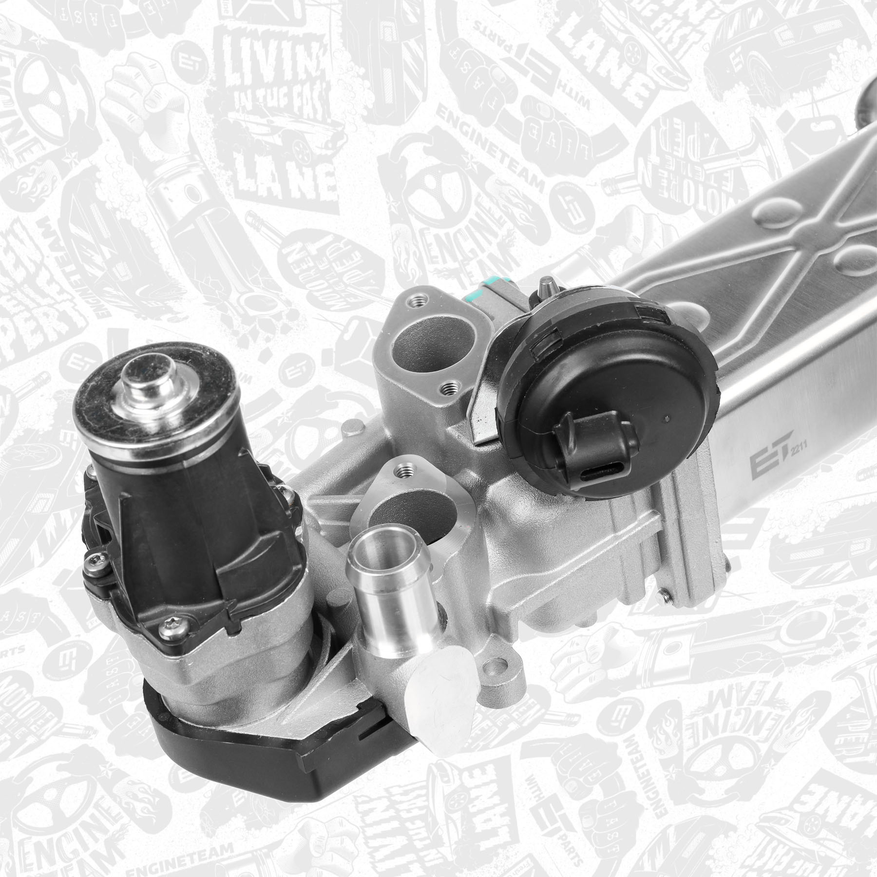 EGR Valve