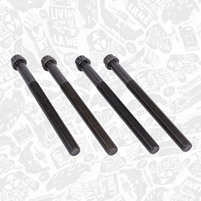 Cylinder Head Bolt Set
