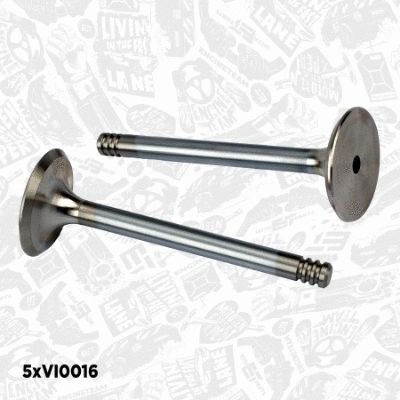 Valve Kit, intake/exhaust valve