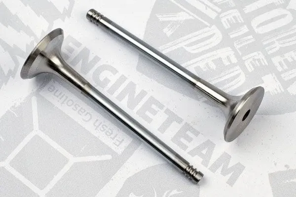 Exhaust Valve