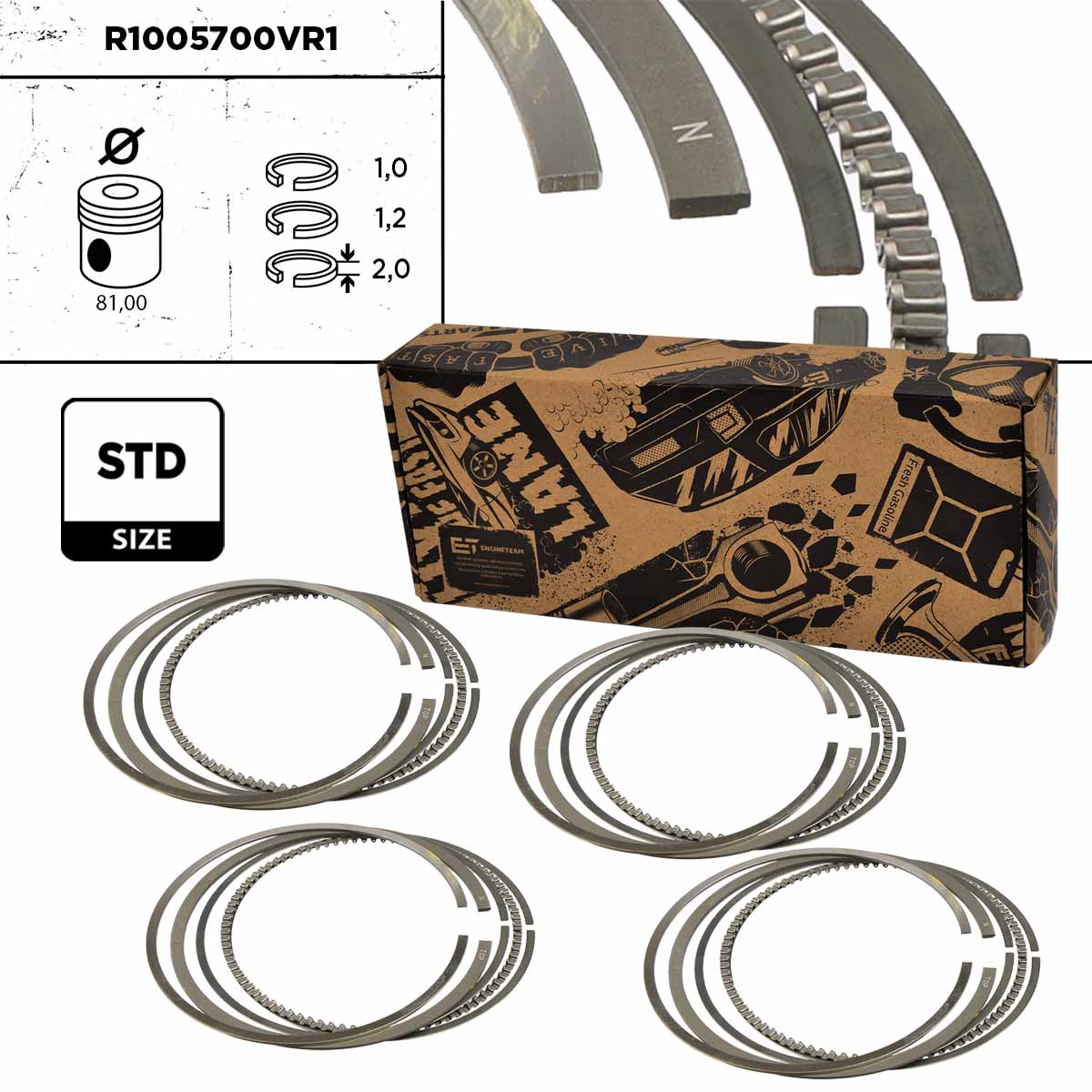 Piston Ring Kit (R1005700VR1)