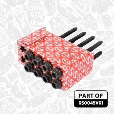 Timing Chain Kit
