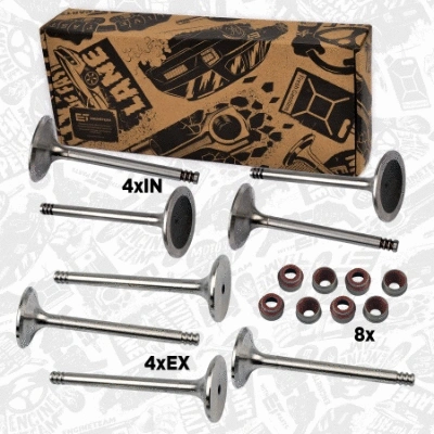 Valve Kit, intake/exhaust valve (VS0009)