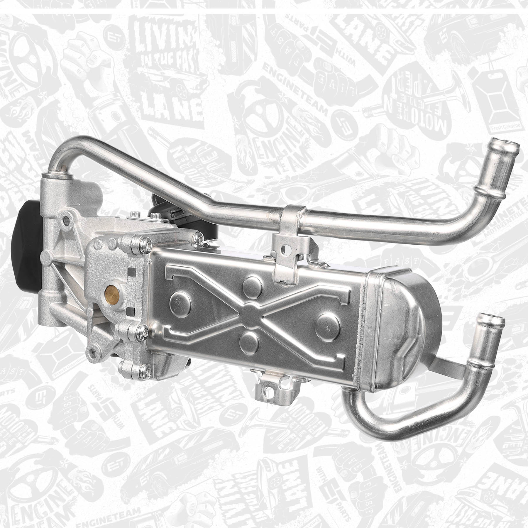 EGR Valve