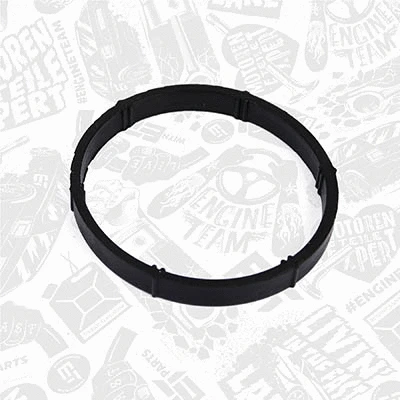 Gasket, intake manifold (TM0016)