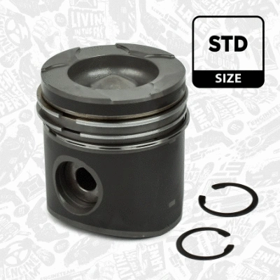 Piston (PM000700)