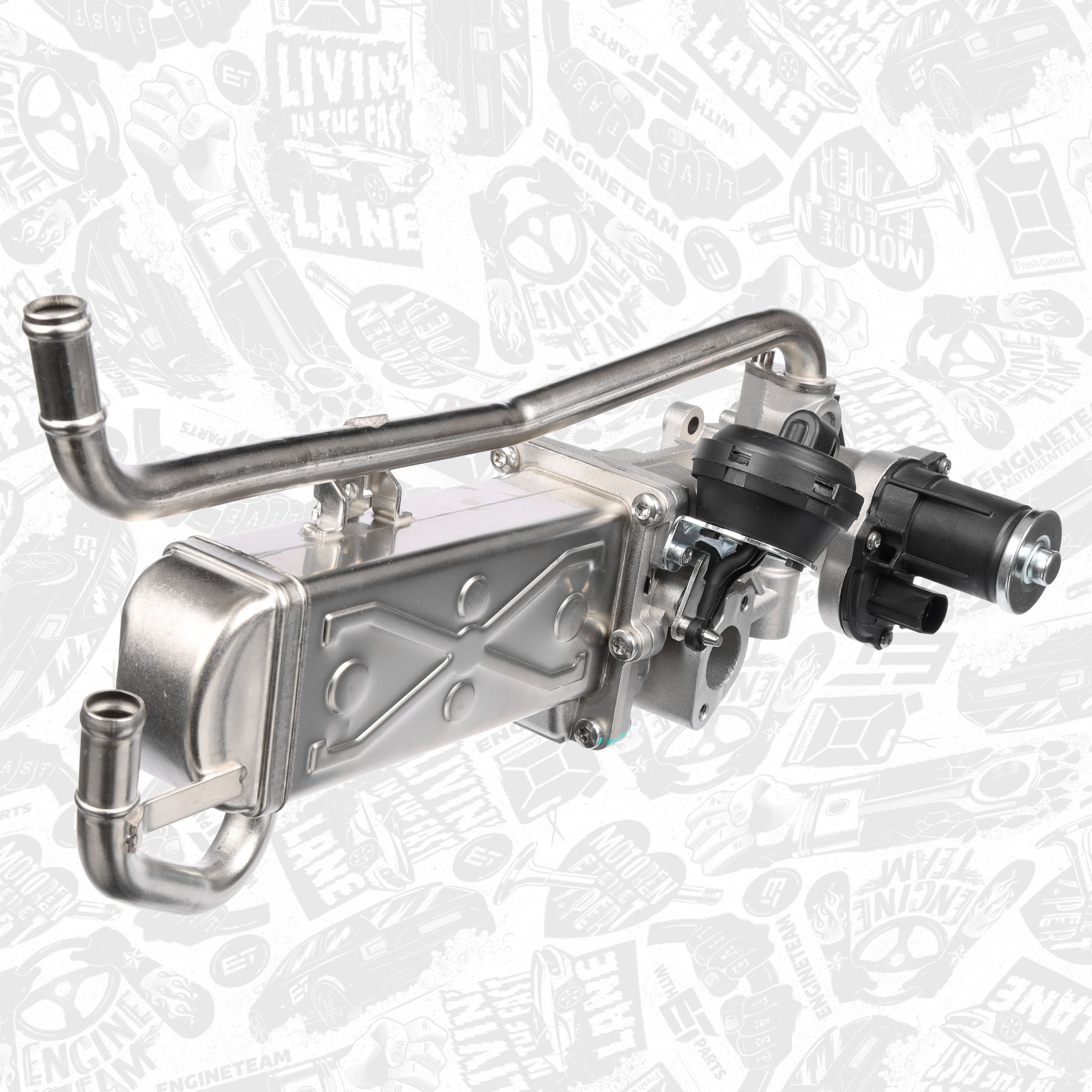 EGR Valve