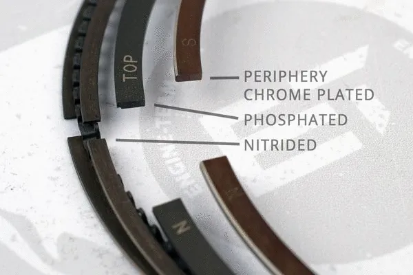 Piston Ring Kit (R1003700)