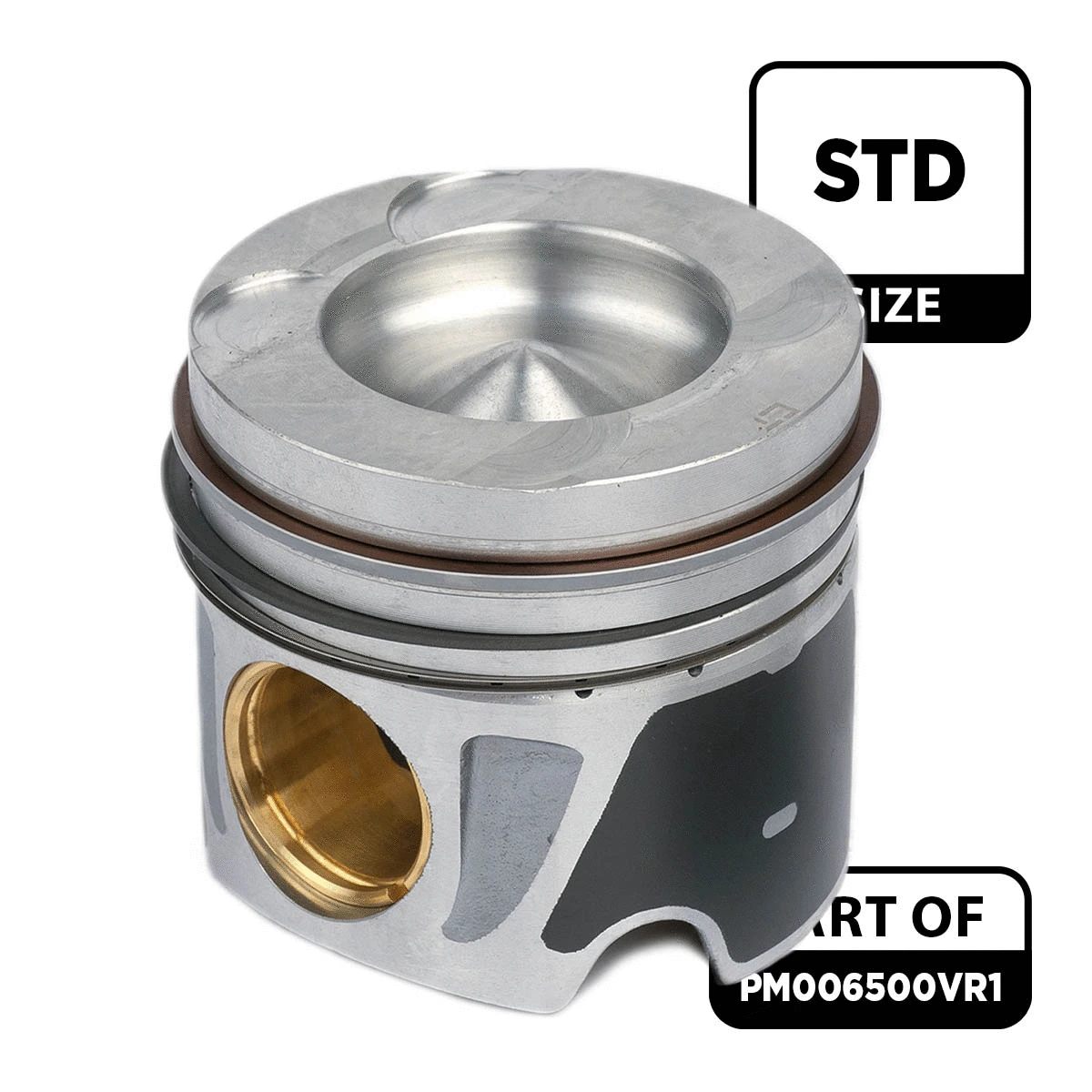 Piston Set