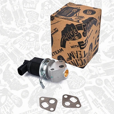 EGR Valve