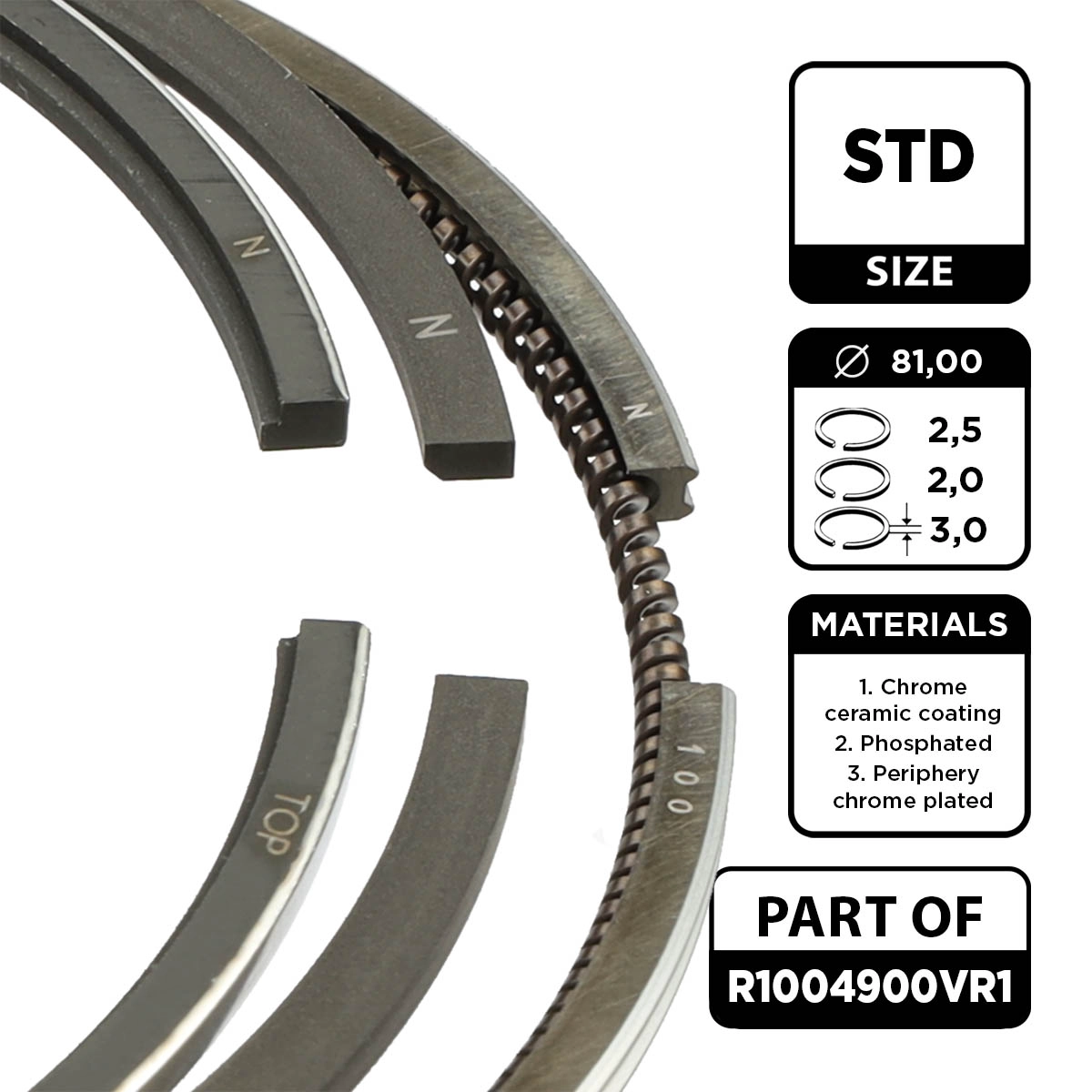 Piston Ring Kit