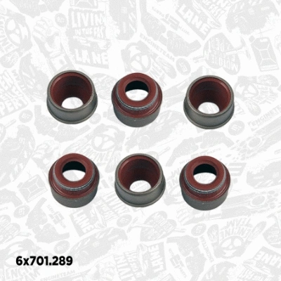 Valve Kit, intake/exhaust valve