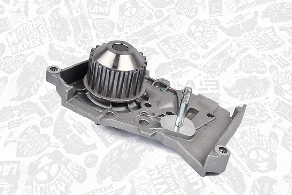 Water Pump & Timing Belt Kit