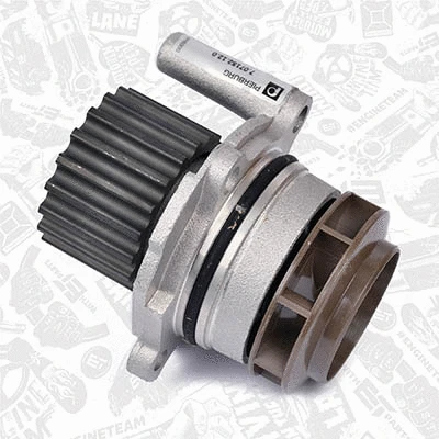 Water Pump & Timing Belt Kit