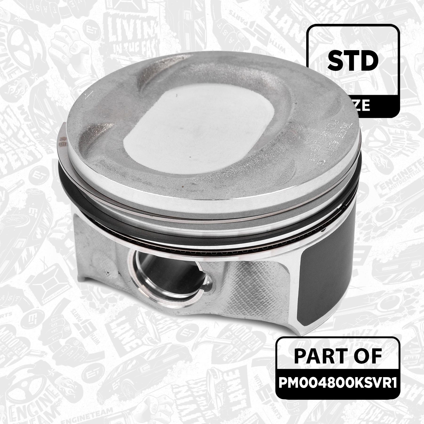 Piston Set