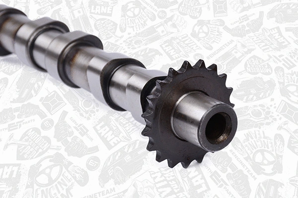 Camshaft