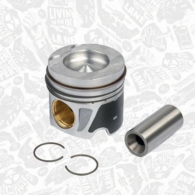 Timing Chain Kit