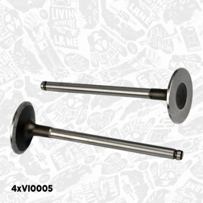 Valve Kit, intake/exhaust valve