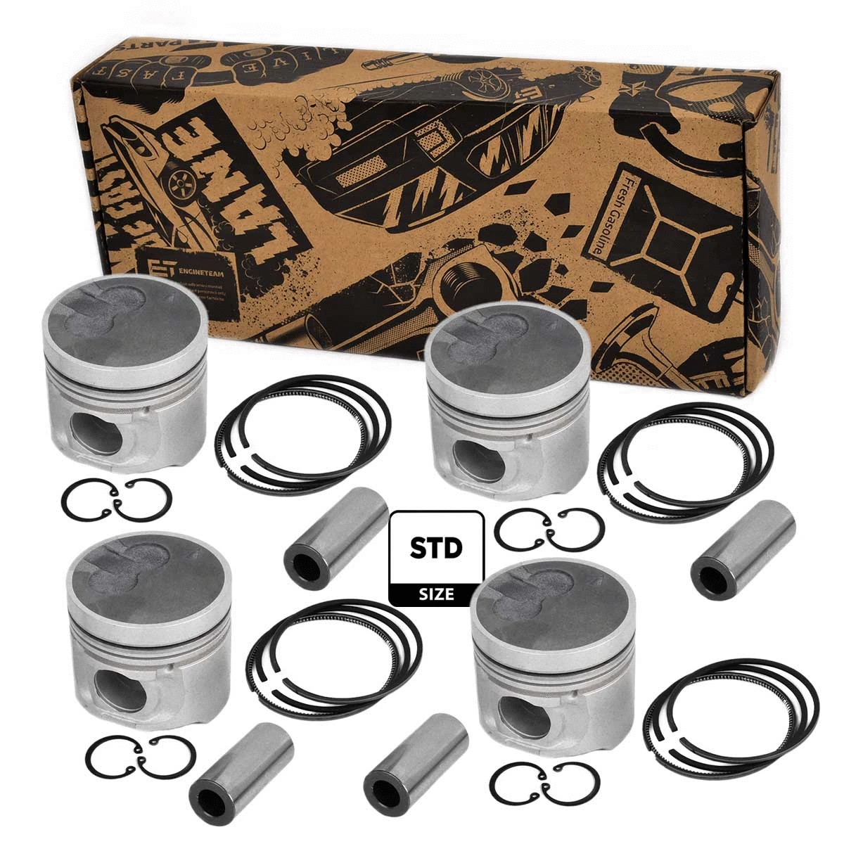 Piston Set (PM010100VR1)