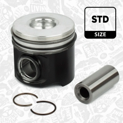 Piston (PM000800)