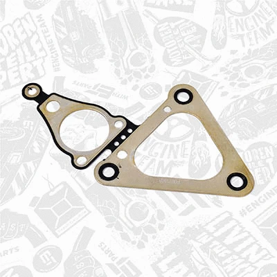 Gasket, timing case (TM0009)