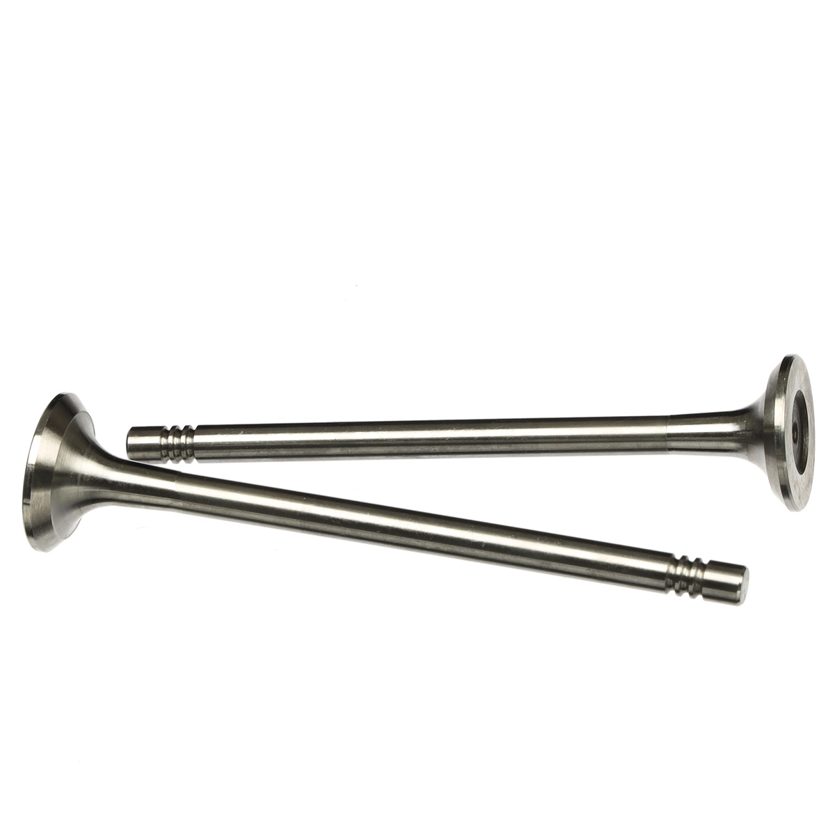 Exhaust Valve
