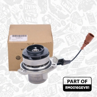 Water Pump & Timing Belt Kit