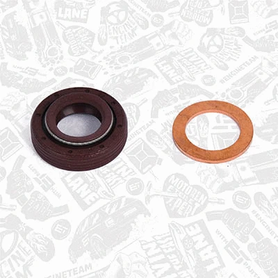 Repair Set, vacuum pump (braking system)