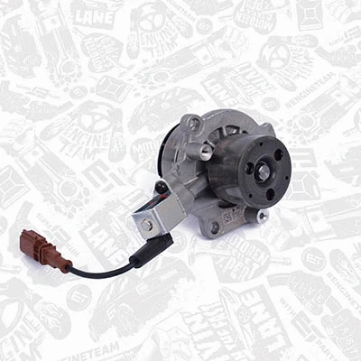 Water Pump & Timing Belt Kit