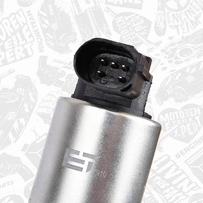 EGR Valve