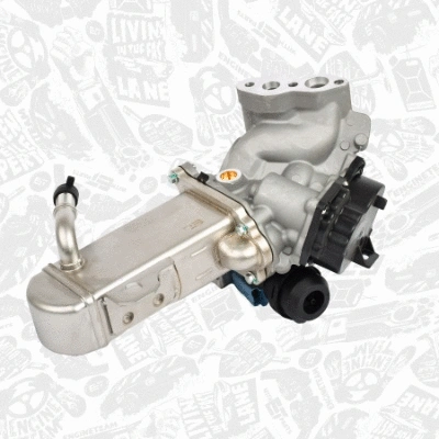 EGR Valve