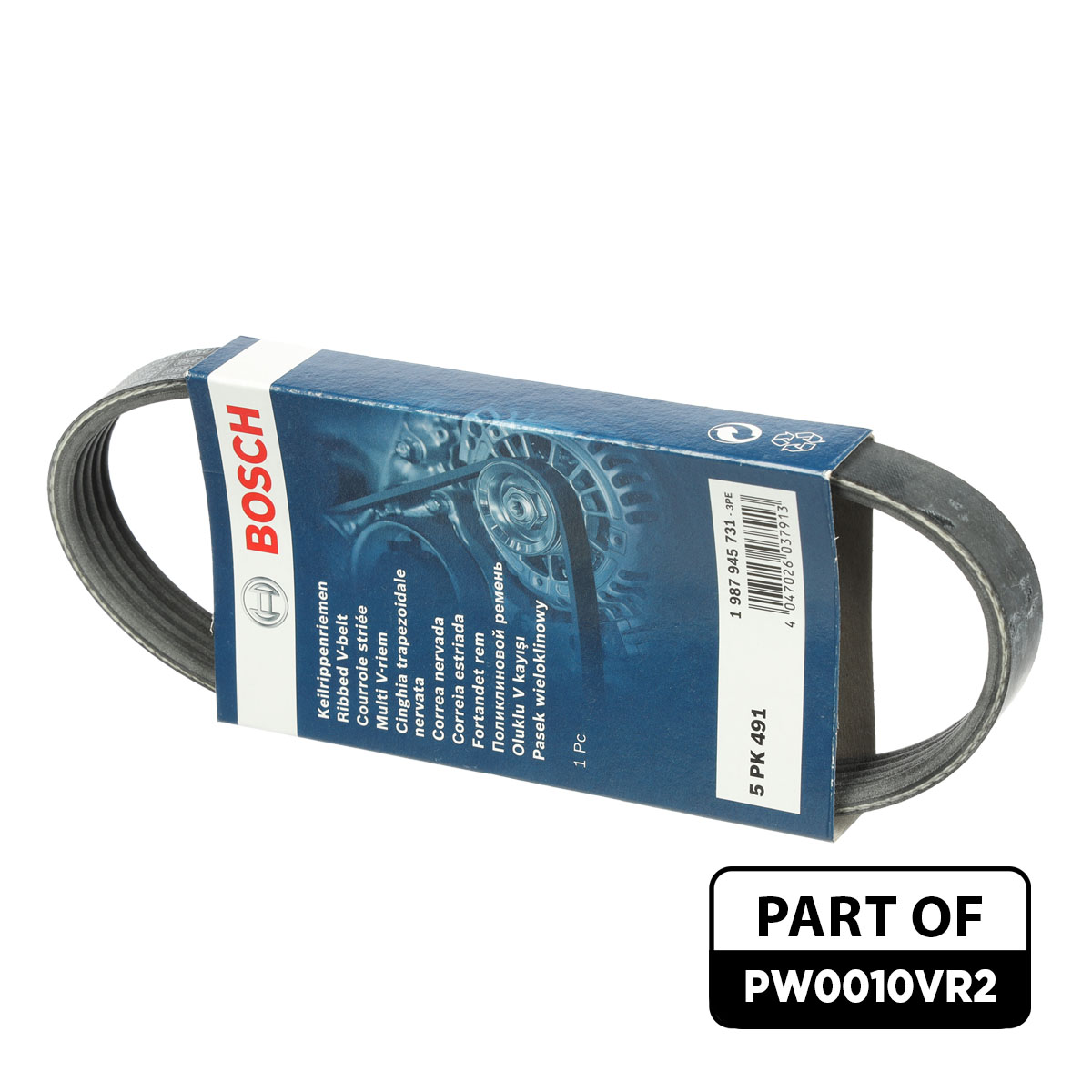 Water Pump + V-Ribbed Belt Kit
