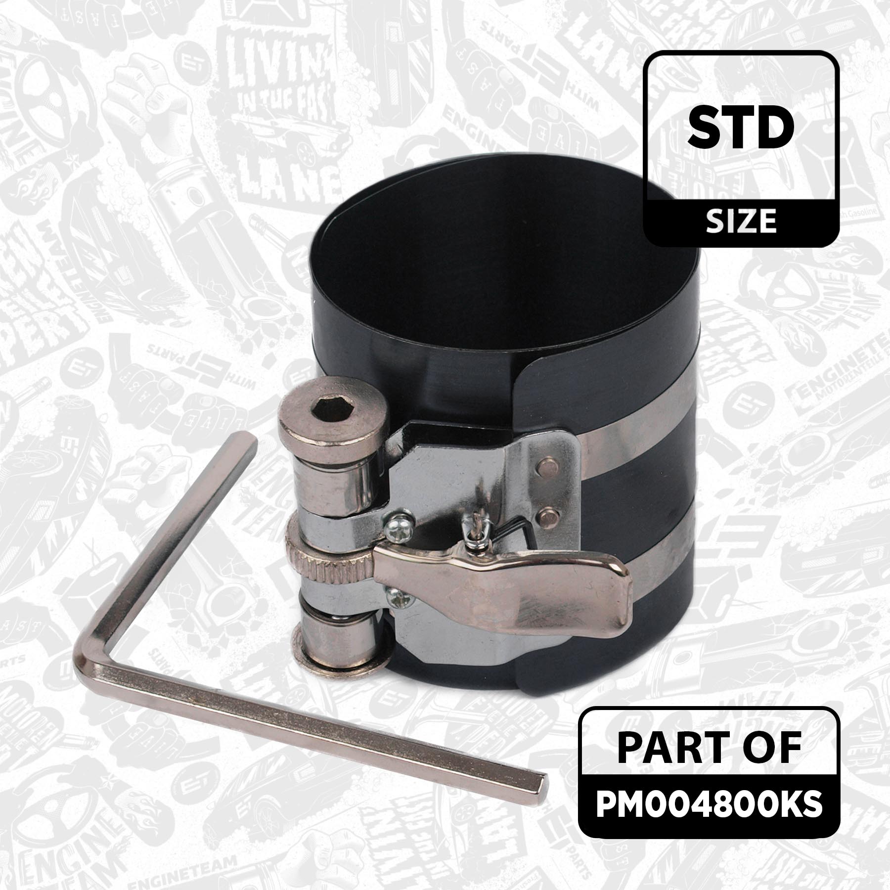 Piston Set