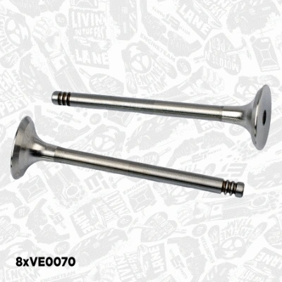Valve Kit, intake/exhaust valve