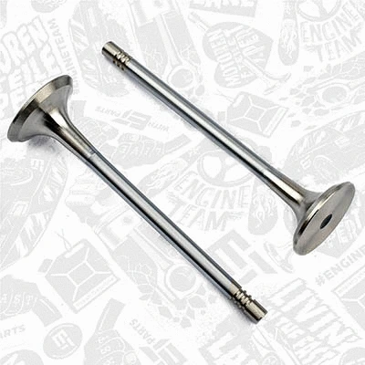 Exhaust Valve
