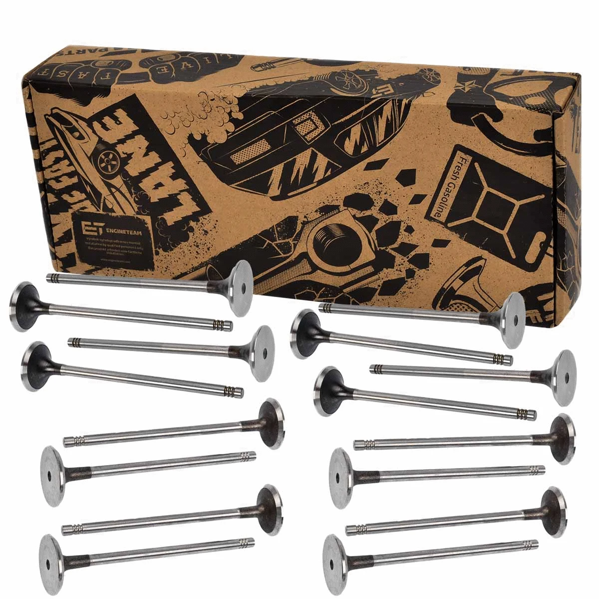 Valve Kit, intake/exhaust valve (VS0018)