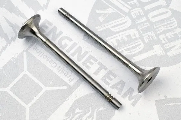 Exhaust Valve