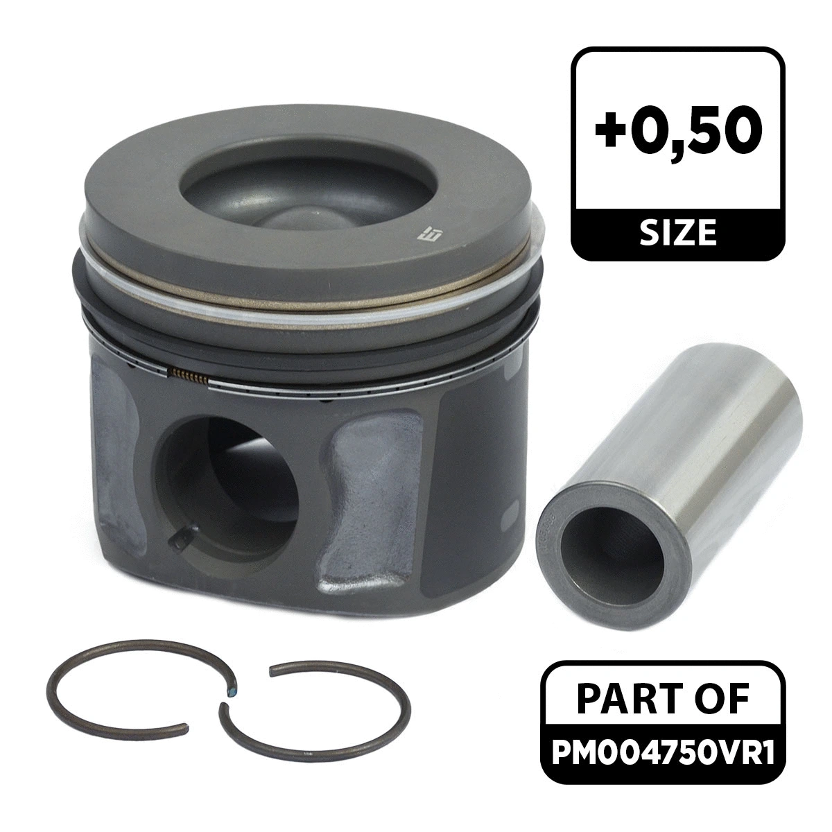 Piston Set