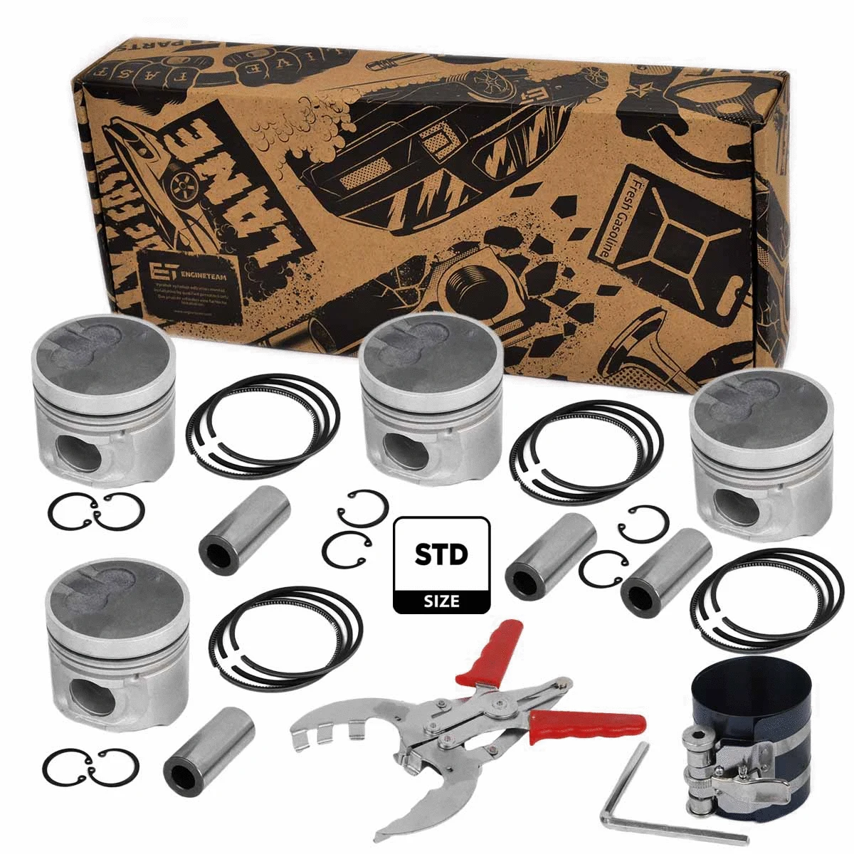 Piston Set (PM010100VR2)