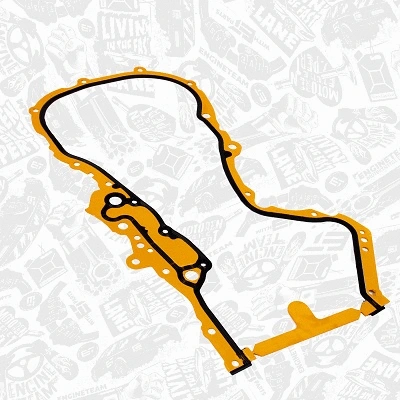 Gasket, timing case (TM0031)