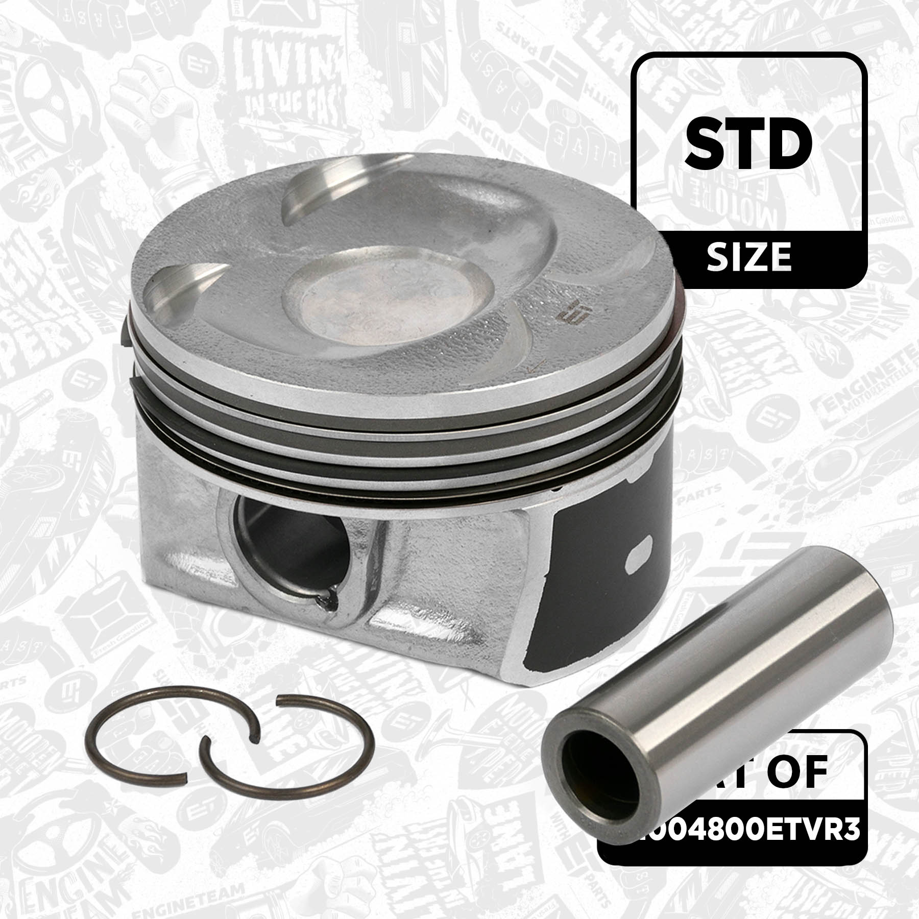 Piston Set (PM004800ETVR3)