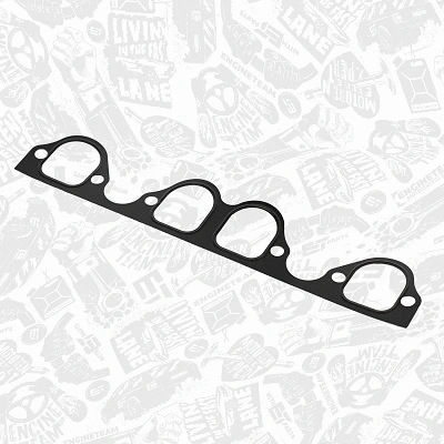 Gasket Set, intake manifold (TM0032)