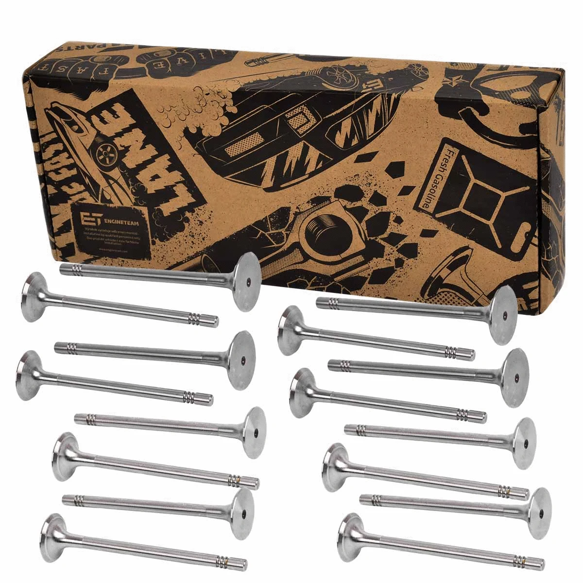 Valve Kit, intake/exhaust valve (VS0017)