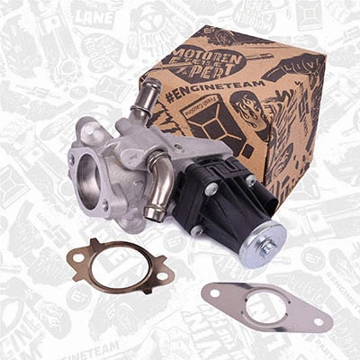 EGR Valve (ED0102)