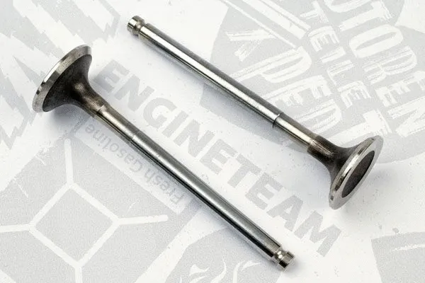 Exhaust Valve