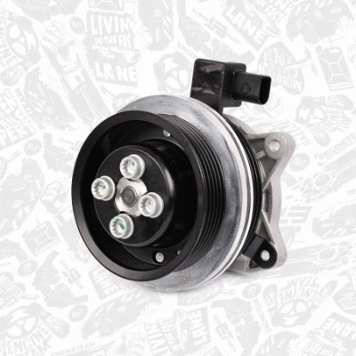 Water Pump + V-Ribbed Belt Kit